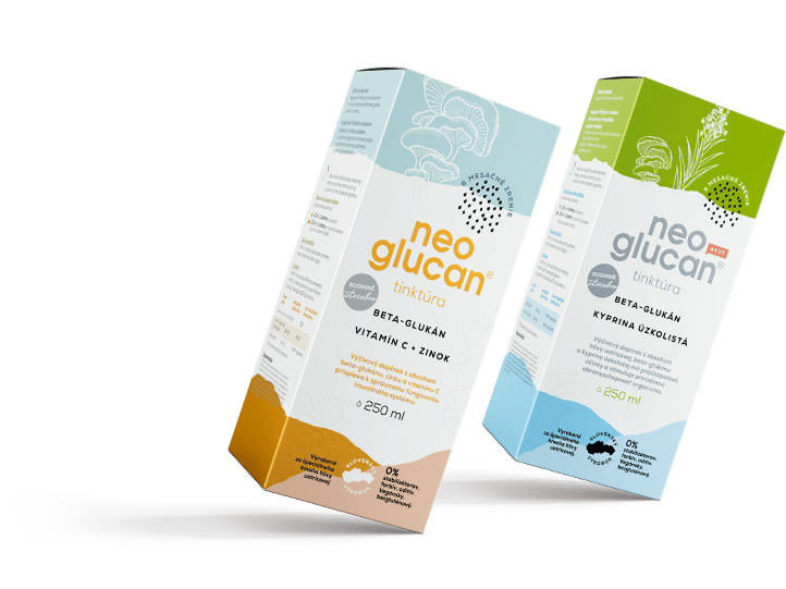 WEB banner